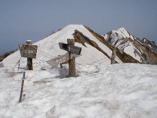 大山登山山頂