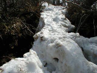 大山登山残雪