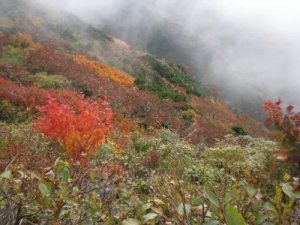 大山ユ−トピアの紅葉